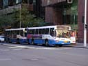 DSCN0562