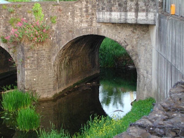 DSCN1770