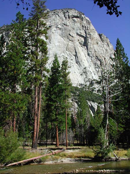 DSCN2367