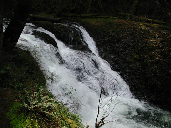 DSCN2645